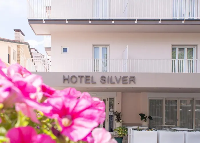 Silver * Rimini