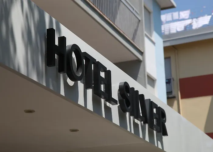 Hotel Silver *