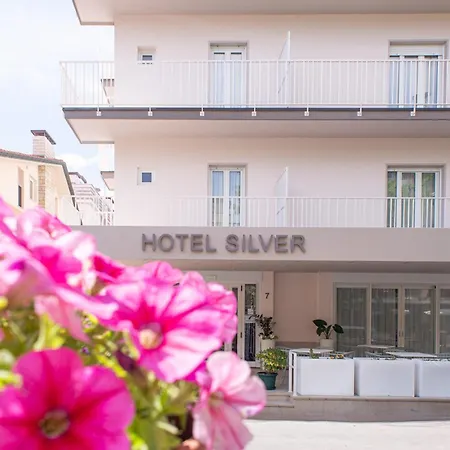 Silver * Rimini